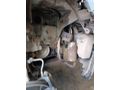 Sahibinden Renault Megane 1.5 dCi Dynamique 2005 Model