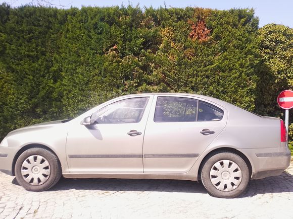 İlk Sahibinden Skoda Octavia 1.6 Classic 2008 Model LPG Prins 