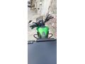 Sahibinden Bajaj Dominar 400 UG