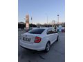 Sahibinden Skoda Rapid 1.6 TDI Spaceback Style 2016 Model 