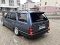 Hazır kurulu tertemız kartal