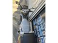 Sahibinden RKS Freccia 150 İstanbul