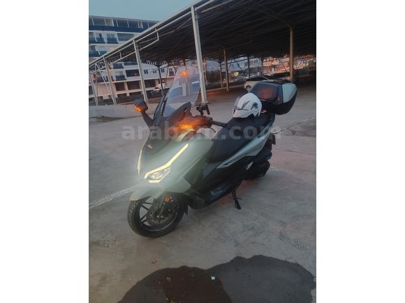 Sahibinden Honda Forza 250 (NSS250)
