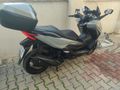 Sahibinden Honda Forza 250 (NSS250)