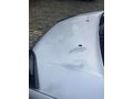 Sahibinden Ford Tourneo Connect 110PS 2010 Model 