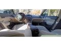 Sahibinden Opel Insignia 1.6 T Edition Elegance 2009 Model