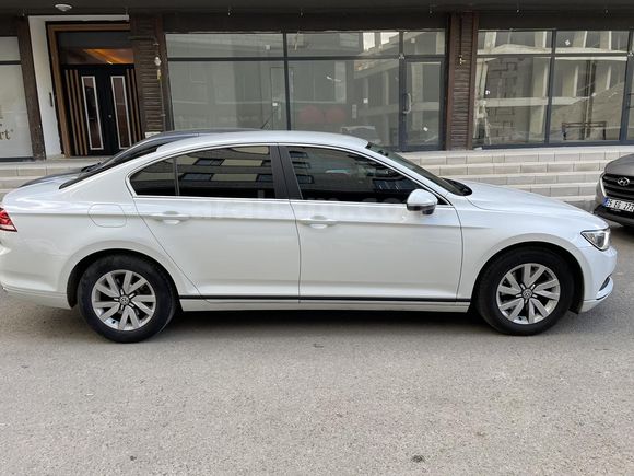 Beyaz gül satışta