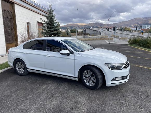 Beyaz gül satışta