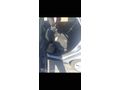 Sahibinden Ford Focus 1.6 TDCi Style 2013 Model 
