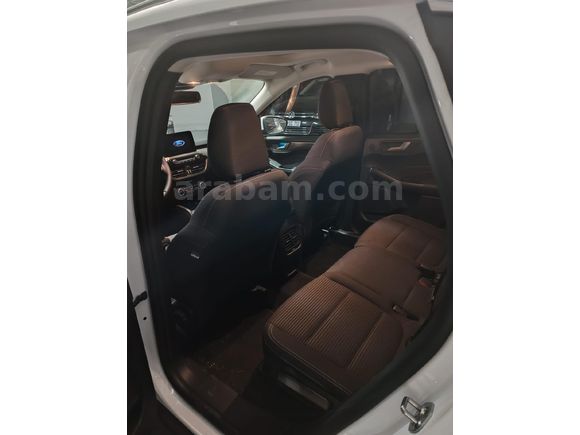 Sahibinden Ford Kuga 1.5 EcoBoost Titanium 2023 Model  22.200 km Beyaz