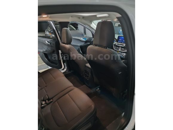 Sahibinden Ford Kuga 1.5 EcoBoost Titanium 2023 Model  22.200 km Beyaz