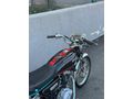 Sahibinden Kuba Çita 100 R