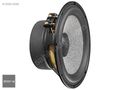 Brax Graphic GL6 165MM High-End Woofer