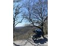 Sahibinden CFmoto 250NK 