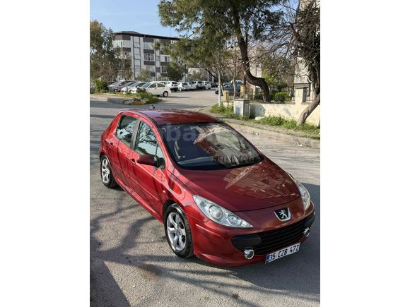 Degişensiz Boyasız FuLL Orjinal Premium 307