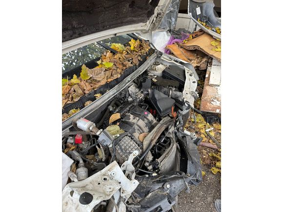 Sahibinden Renault Taliant 1.0 Sce Joy 2021 Model  HASAR KAYITSIZ