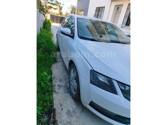 Sahibinden Skoda Octavia 1.6 TDI Optimal 2017 Model