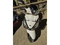 Sahibinden TVS Jupiter 125