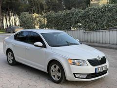 Sahibinden Skoda Octavia 1.6 TDI Optimal 2016 Model 