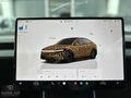 SARILAR ÖZBAY DAN HATASIZ BOYASIZ 2025 TESLA MODEL Y