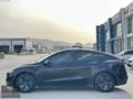 SARILAR ÖZBAY DAN HATASIZ BOYASIZ 2025 TESLA MODEL Y