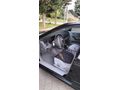 Sahibinden Mitsubishi Galant 2.4 GDI GLS2000 Model