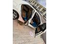 Sahibinden Mercedes - Benz E 220 CDI BlueEFFICIENCY 2012 Model 