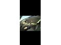 Sahibinden Opel Insignia 1.6 T Edition 2010 Model