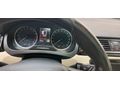 Sahibinden Skoda Rapid 1.4 TDI GreenTec Style 2015 Model