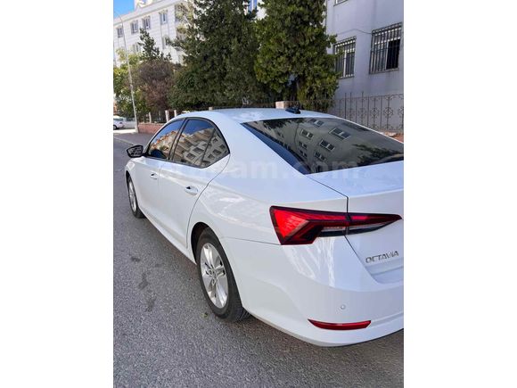 Sahibinden Skoda Octavia 1.5 e-Tec Elite 2021 Model 
