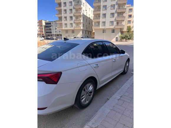 Sahibinden Skoda Octavia 1.5 e-Tec Elite 2021 Model 