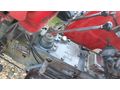 AylarGaleriden İşbora Adana