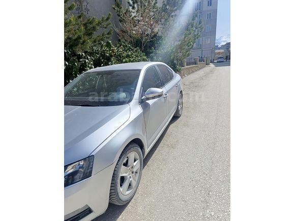 Sahibinden Skoda Octavia 1.6 TDI Optimal 2019 Model