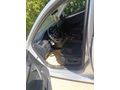 Sahibinden Skoda Octavia 1.6 TDI Optimal 2019 Model
