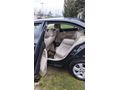 Sahibinden Skoda Octavia 1.4 TSI Elegance 2010 Model