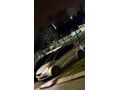 Sahibinden Kia Ceed 1.6 CRDi Premium 2012 Model