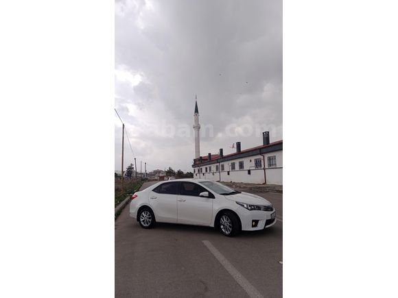 SON 1 HAFTA TEK FİYAT
