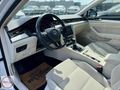 2019-PASSAT-BOYASIZ-CAM TAVAN