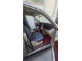 Sahibinden Chery Tiggo 1.6 Acteco Lusso 2008 Model 