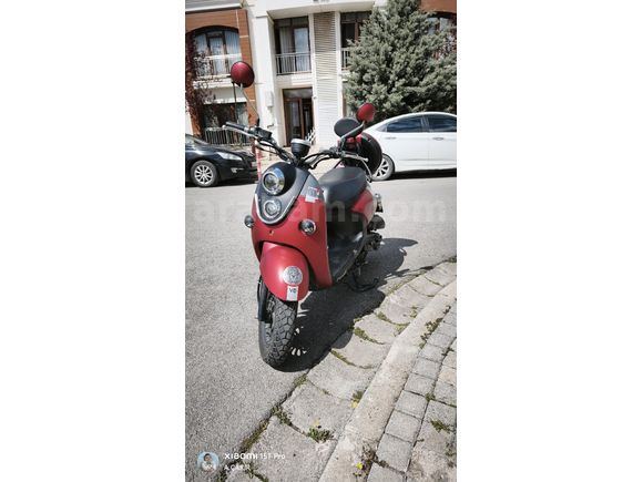 Sahibinden Kuba Trendy 50