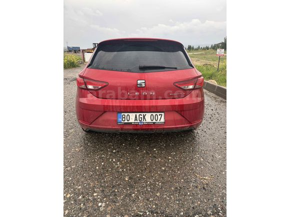 Boyasız Değişensiz Cam Tavanlı 