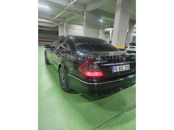 Sahibinden Mercedes - Benz E 220 CDI Avantgarde 2008 Model