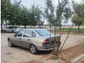 Sahibinden Opel Vectra 1.6 GL 1997 Model Şanlıurfa
