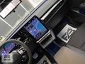 EGEBİR OTO/2025 MEGANE E-TECH/ALPİNE/TAM DOLU/YENİ KASA/MAT FÜME
