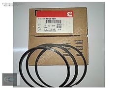 4955169 Cammins QSB6.7 Piston Segman Kiti