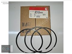 3802429 Cammins 8.3L 6C 6CT 6CTA 6CTAA Piston Segman Kiti