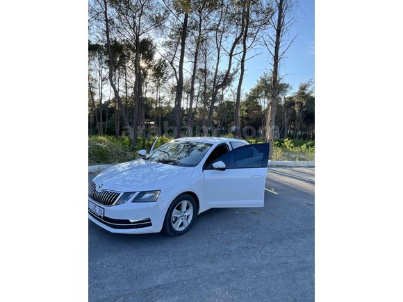 Sahibinden Skoda Octavia 1.6 TDI Optimal 2017 Model 