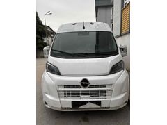 Boxer. Jumper movano