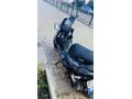 Sahibinden Kuba Pesaro 125 X 