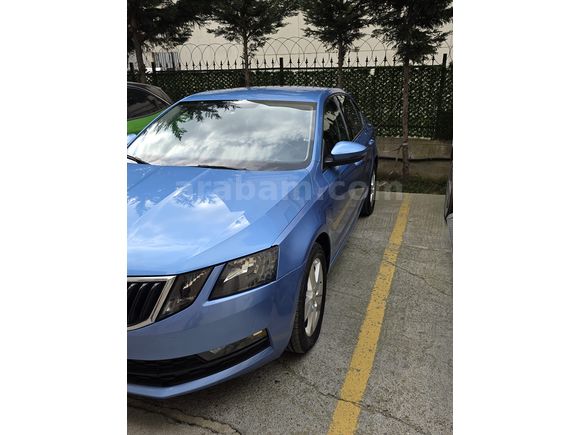 Sahibinden Skoda Octavia 1.6 TDI Optimal 2019 Model